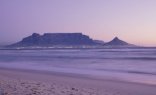 4 Day Western Cape Flower Tour (SCF4)