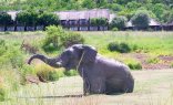 Bakubung Bush Lodge