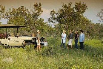 motswiri-private-safari-lodge 21380