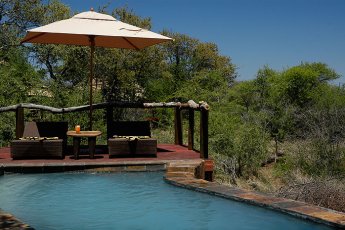 motswiri-private-safari-lodge 21384
