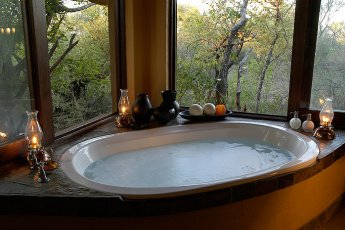 motswiri-private-safari-lodge 21379