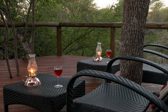 motswiri-private-safari-lodge 21386