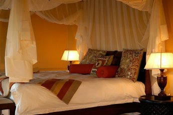 motswiri-private-safari-lodge 21376