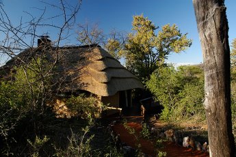 motswiri-private-safari-lodge 21374