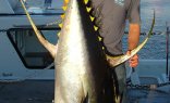 Deep Sea Fishing