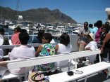 Peninsula Tour - Piggys Party Bus