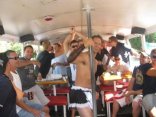 Hen Party / Bachelorette Party - Piggys Party Bus