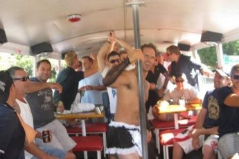 piggys-party-bus 19044