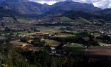 Winelands Extravaganza Tour