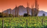 Winelands Full Day Tour