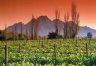 Winelands Full Day Tour