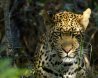 Kruger National Park